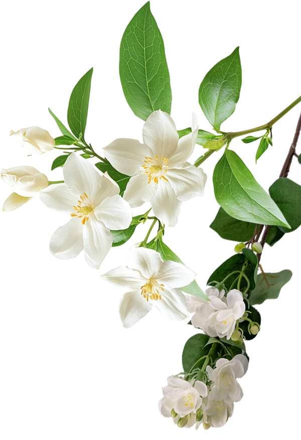 Viet Nam Candles